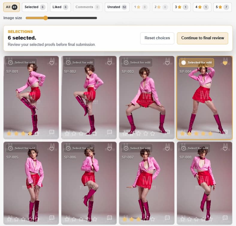 Proof gallery grid with six images selected, star ratings, and filter chips